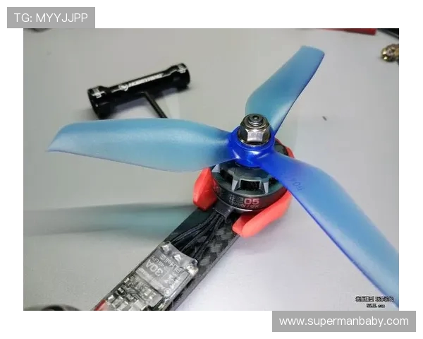 世界划船锦标赛桨频与速度的回归方程